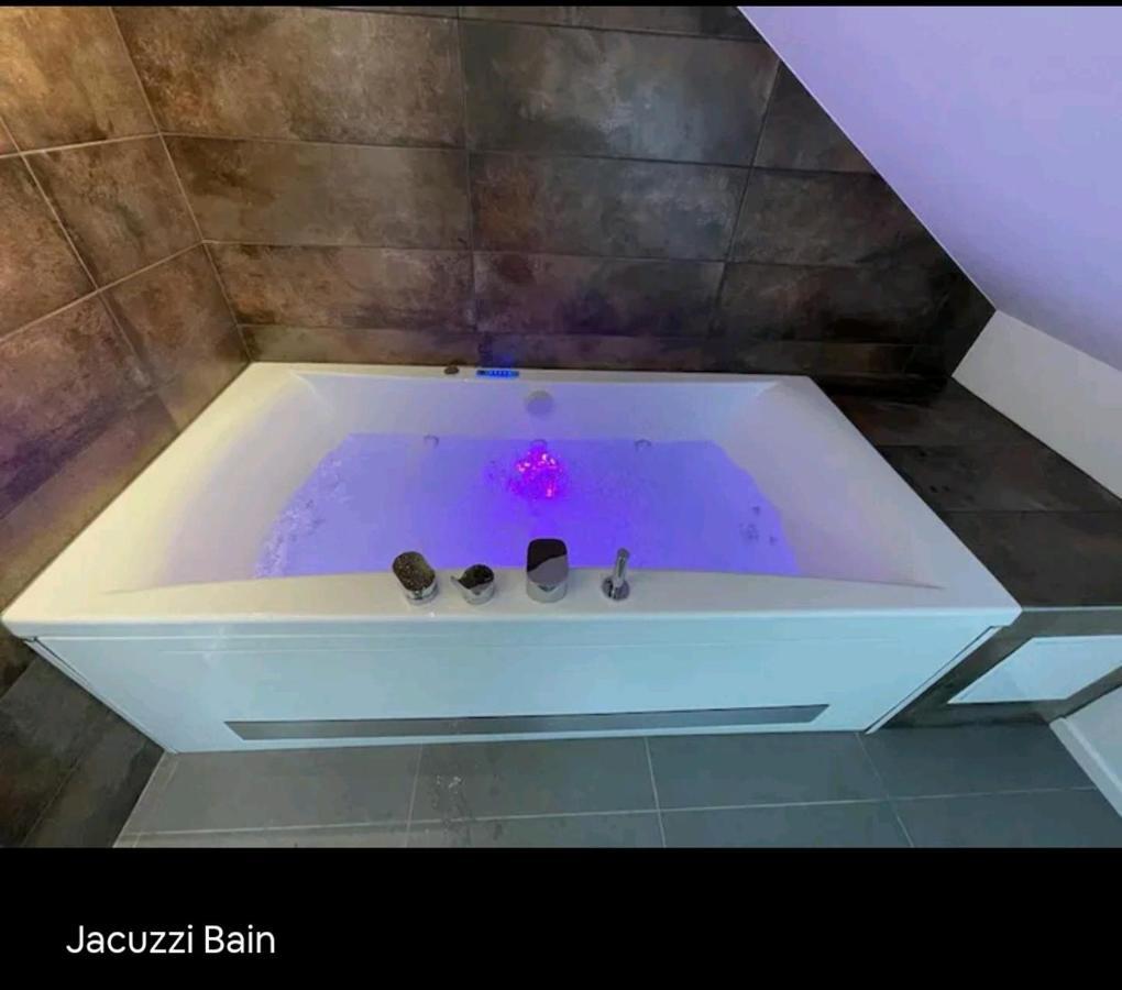 Loft Neuf Avec Bain Jacuzzi Et Terrasse Appartement