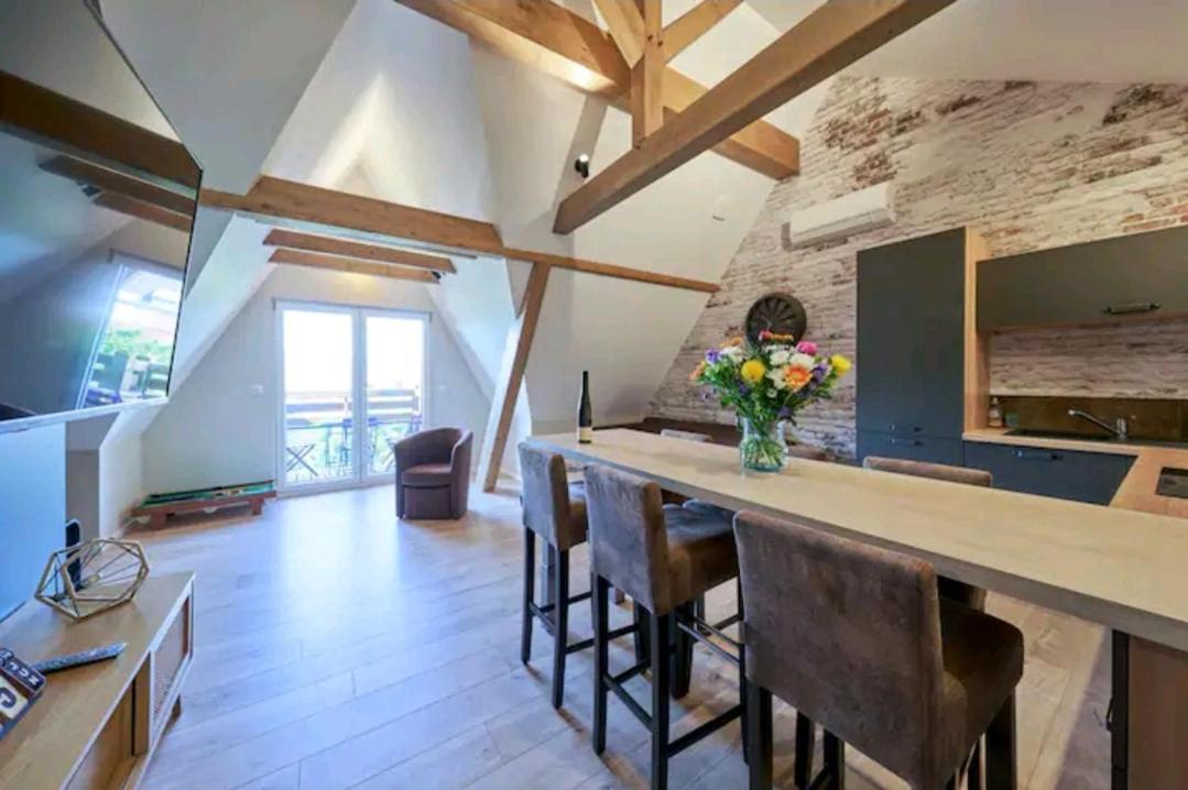 Loft Neuf Avec Bain Jacuzzi Et Terrasse * Colmar